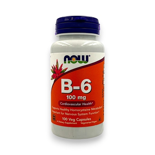 [3273] B6 100MG 100CAP - NOW